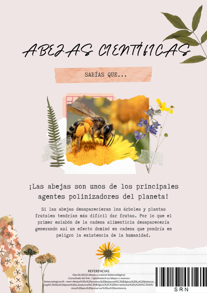 aportacion 1-sofia rosas nunez